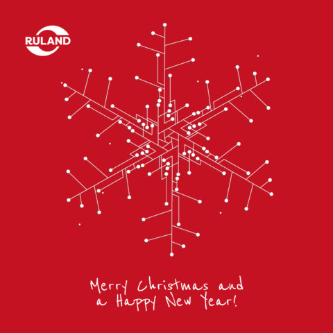 Merry Christmas and Happy New Year! Text: english, with graphic snowflakes