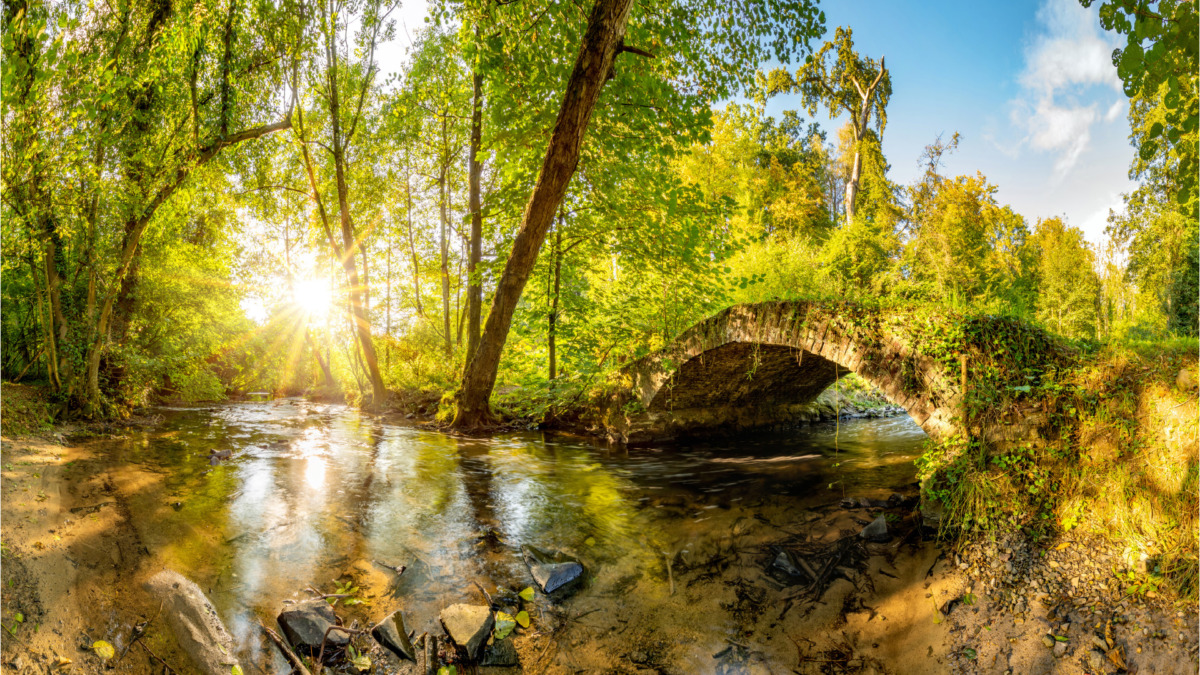 Sustainability at Ruland | Ruland