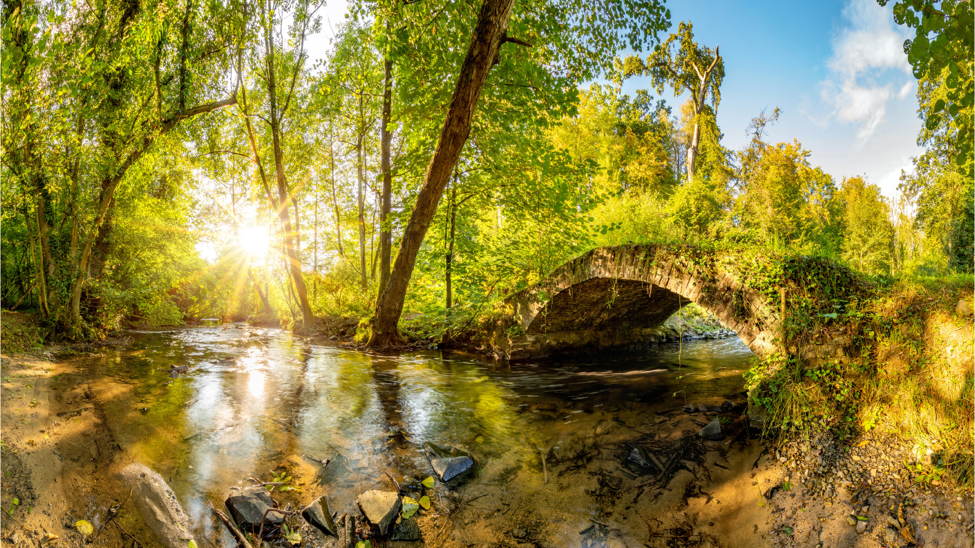 Foto Steinbrücke im Wald über Fluss