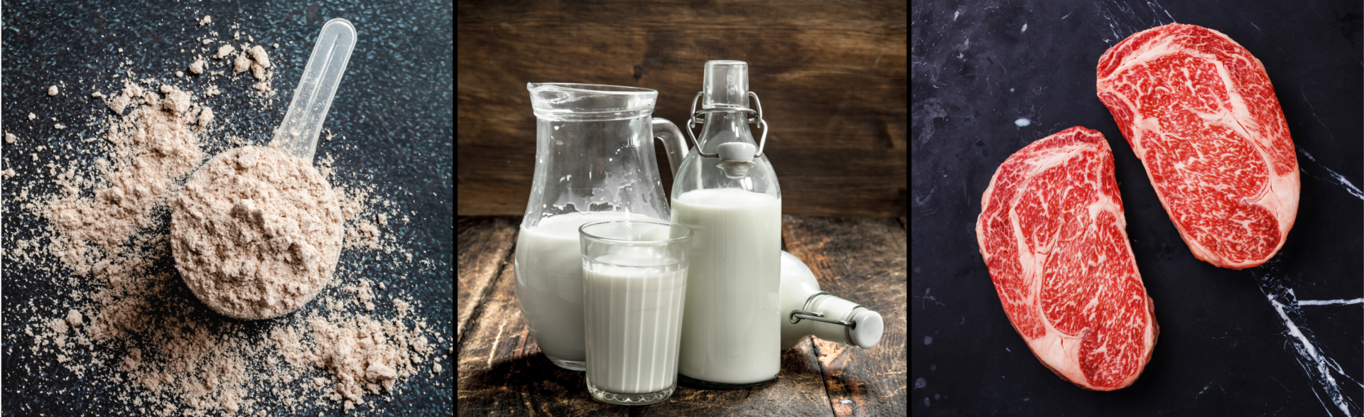 Ruland Kombi Bilder für Branchenseite Bild mit Proteinpulver, Milch und Fleisch